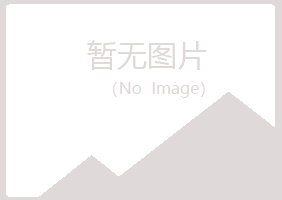 桂林象山夏槐工程有限公司